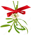 mistletoe